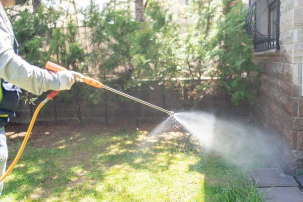 Pest Prevention Services in Labadieville, LA