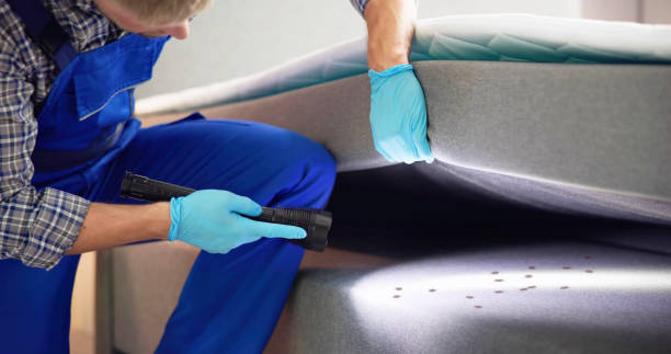 Best Wasp Removal Services  in Badieville, LA
