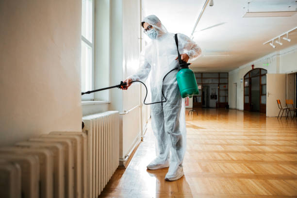 Best Termite Control Services  in Badieville, LA