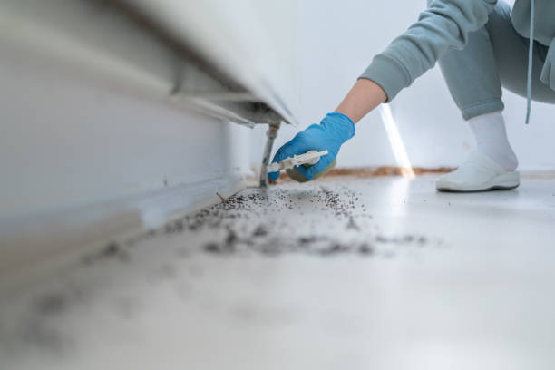 Best Ant Control Services  in Badieville, LA